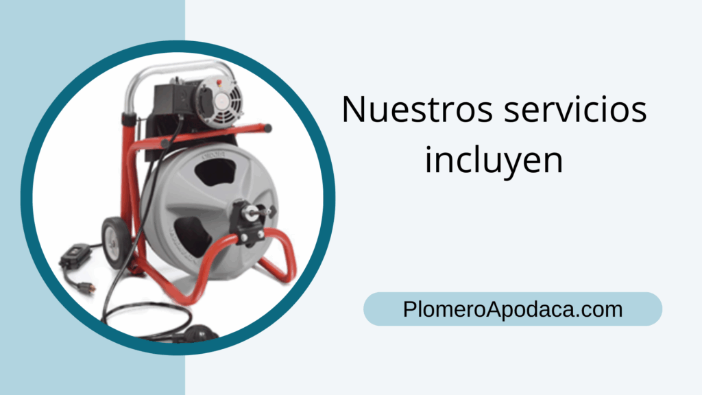 Nuestros servicios incluyen